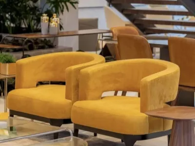 Ceina Pair Occasional Chairs